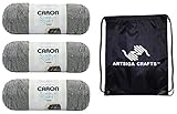 Caron Simply Soft Tweeds Gray Heather 294023-23002 (3-Skeins - Same Dye Lot) Worsted Medium #4 Acrylic Yarn for Crocheting and Knitting with Project Bag