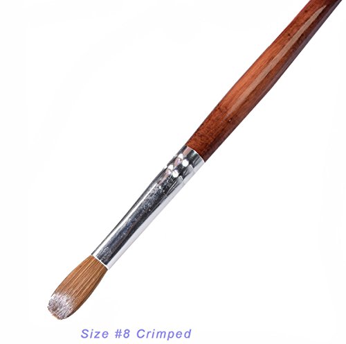 EX Kolinsky Acrylic Nail Brush for Acrylic Powder Manicure Pedicure (Size #8 Crimped)