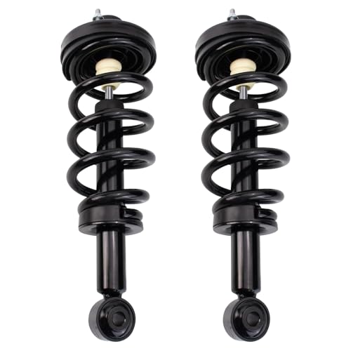 Image of TRQ Rear Shock & Spring Assembly Set Compatible with 18-22 Ford Lincoln
