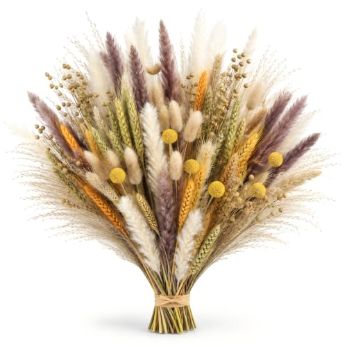 Sosayet Getrocknete Pampasgrasdekoration, 100 Stück Trockenblumen Herbst, Flauschige Getrocknete Blumen Dried Flowers für Herbstdeko Hochzeit Boho Deko Wohnzimmer Schlafzimmer Gartenhaus