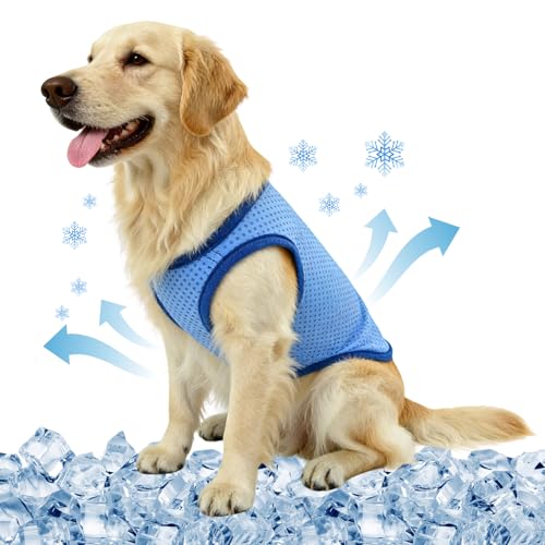 Maglia Refrigerante Cane, Traspirante Gilet Rinfrescante Cane, Fresco e Confortevole Gilet Refrigerante per Cani, Cappotto Rinfrescante Animale, per L'estate, Animali Domestici di Tutte le Taglie (M)