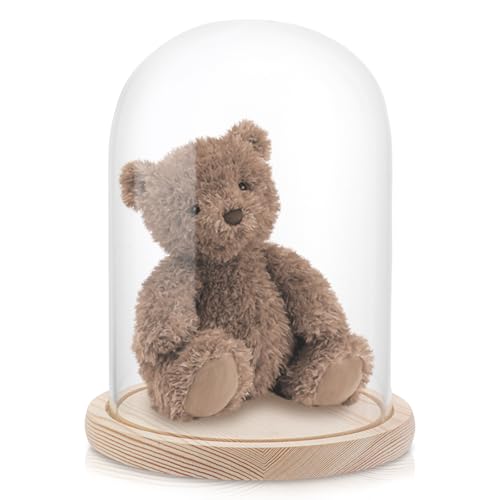 AKOLAFE Campana de cristal con base de madera, 21 cm de alto, cúpula de cristal, decoración de 17 cm de diámetro, campana de cristal transparente, decoración para muñecas, velas, coleccionables (sin