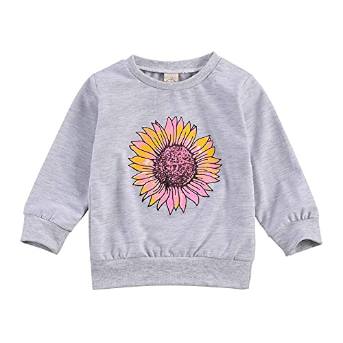 Toddler Baby Girls Boys Long Sleeve Pullover Sweatshirts Cotton Crew Neck Cute Top Outfit (Gray,3-4T)