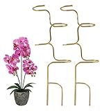Pflanzstäbe, Stängelstangen | Indoor-Pflanzstäbe | für Monstera, Tomaten, Gemüse, Orchideen,...