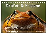 Kröten & Frösche (Tischkalender 2026 DIN A5 quer), CALVENDO Monatskalender: Die bunte Welt der Froschlurche (CALVENDO Tiere) - CALVENDO, Elisabeth Stanzer 