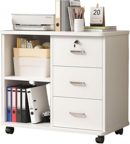 Barino t@CLrlbgAړ[AbJ[AItBXJ[gA{IAt@CAAbNtAotAeʁAƗpItBXЊwZa@p ItBXpؐAt^ ړ[Ao (D,zCg) [sAi]