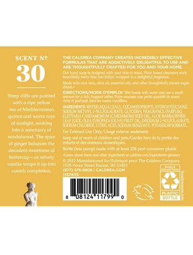 Image of Caldrea Hand Wash Soap, Aloe Vera Gel, Olive Oil And Essential Oils To Cleanse And Condition, Vanilla Quince Santal scent, 10.8 Oz