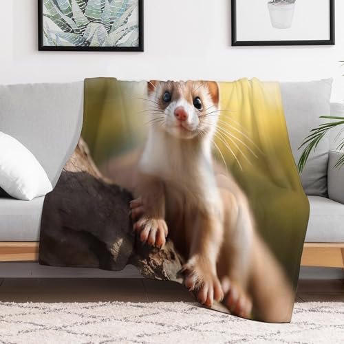 Couverture flanelle lavable en machine contre le froid du salon - 3