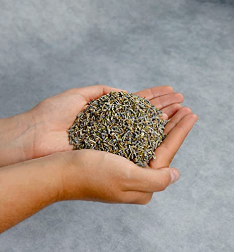 Lavanda Seca Natural 200 GR - Flores Secas Lavanda - Lavanda - Flor de Lavanda Seca Natural para Ambientador, Aceite Esencial, Jabones, Cosméticos, Velas… - imagen 3