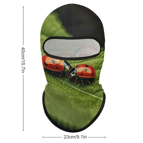 Balaclava para hombres, máscara para esquiar y cazar, cubreboca para ciclismo y actividades invernales miniatura 2