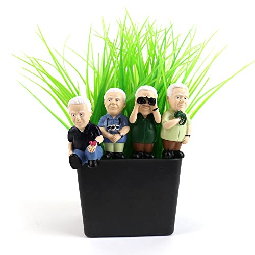 Gift Republic - Attenborough Explorers Plant Markers - These Attenborough Explorers Will Look After Your Plants, 9.5x14.5x3.5 cm, Green - Image 4