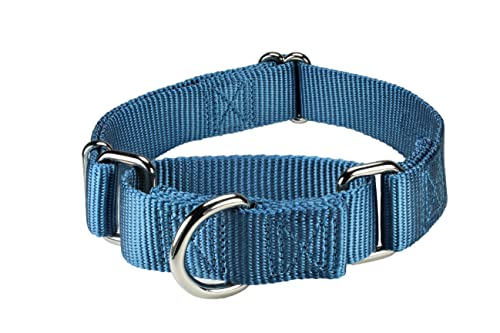 Mikivery Martingale Dog Collar Nylon Adjustable And Safety Training Colourful Comfortable Metal Buckle Pet Collars For Small Medium And Large Dogs(Haze Blue,M) #TOP4