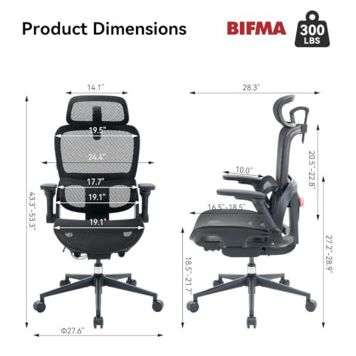 Image of SIHOO B300 Pro Ergonomic Office Chair Without Footrest, 4D Lumbar Support