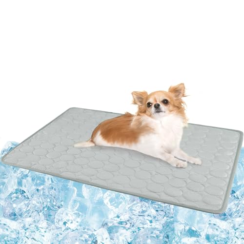 Ice Pack for Dogs The 15 best products compared Wild Explained