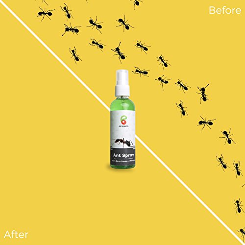 Ant Spray, Natural Ant Killer and Repellent, 100% Organic and Safe,100 ml