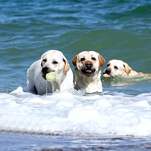 EASY JOY 2 Stück Unzerstörbar Hundebälle Hundespielzeug Stark Federnde Trainingsbälle Langlebige wurfball für Haustiere, Hund kauspielzeug aus E-TPU für Mittlere oder Große Hunde…