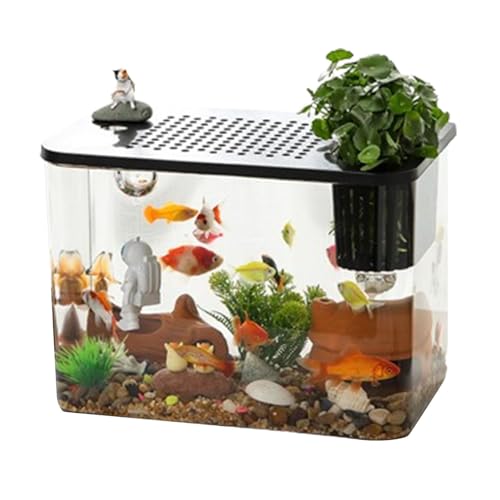Acquario da tavolo Generico | Acquario decorativo per pesci d'acqua dolce e tartarughe, 34.47 litri, PET, Nero, Vista a 360 gradi, Minimalista e moderno