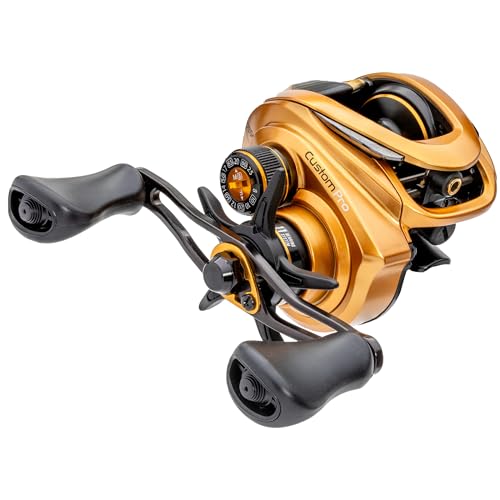 Lew's Custom Pro Baitcast Reel
