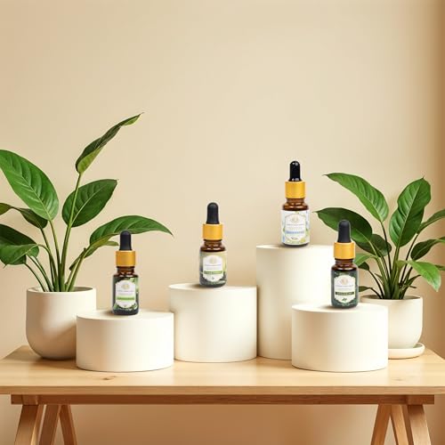 Image of Luxurious Essential Oil Box of 4 by - TEA TREE,SPEARMINT,LEMONGRASS,EUCALYPTUS|100% Pure,Natural,Highly Concentrated|Therapeutic and Ultra Premium Grade Oils Set for Home Diffusers, Skin Care, Aromatherapy, Bath, Massage,Humidifiers, Gifting,Soap and Candle Making | 4 x 10 ml