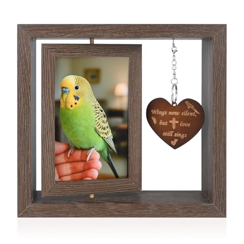 Yongvelin Bird Memorial Gifts for Loss of Pet Parrot, Rotating