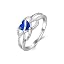 01-Class ring