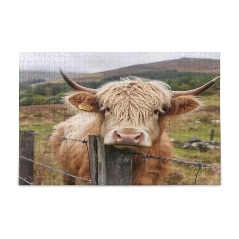 Zhirexin 500 Pieces Highland Cow Puzzles Parent Child Interactive Jigsaw Puzzles Stress Relief Jigsaw Puzzles Birthday Gifts Cover