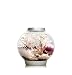 biOrb CLASSIC 15 Aquarium with LED Light – 4 Gallon, Silver
