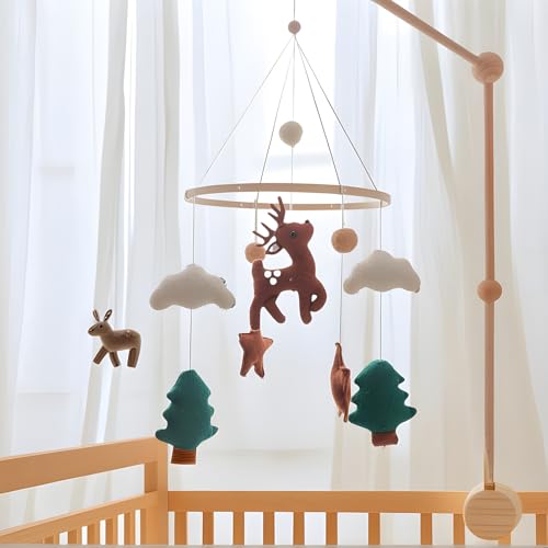 xr[xbhr[,ۈ玺 xr[xbh    - xr[J[ANZT[ q Vю J[V[g Q a