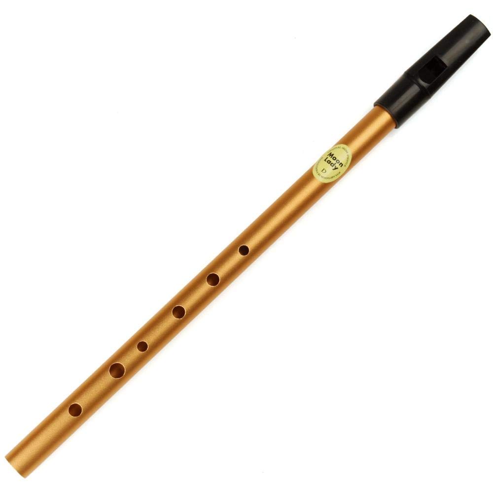 D Key Flauta de Metal de 6 Agujeros Flauta de Silbato de Estaño irlandés Viento de Madera irlandés Mini Silbato de bambú de Bolsillo (Color : D Key Gold)