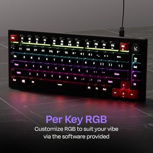 Kreo Hive 75 Mechanical Gaming Keyboard with Per-Key RGB Backlight, Hot-Swappable Switches, Anti-Ghosting Keys and Detachable USB-C Cable (Brown Switch, All Black)