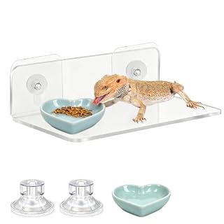 LIULINY plateforme acrylique 20 x 10 x 5 cm pour aquarium