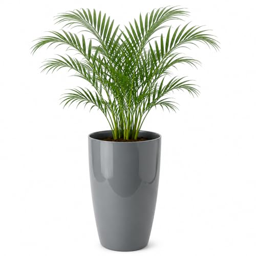 Image of Leafy Tales Modern Round Tower Planter for Home Decor 14 INCH, Highly Durable,Lightweight Indoor Outdoor Planter, Flower Pot Gamla, Pot for Balcony Garden, Vegetables, Flowers & Greenery