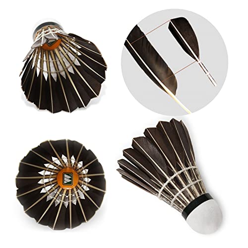 Qichuan Whizz Badminton Birdies Goose Feather Nylon Shuttlecocks Durable Balls For Indoor Outdoor Game, Black 12 Pack #TOP5