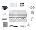 AMS Fireplace Lion | 32" Grill Package with 33" Double Access Doors & Refrigerator | Propane