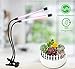 Produktbild XZYP LED Wachsen Lichter, 9Wled Für Innenanlagen Mit Thermometer Feuchtigkeit, LED-Anlage Glühlampe Für Hydroponik Indoor Garten Gewächshaus Wachsen Lichter Und Bio-Boden