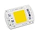 50W COB LED Chip, CANAGROW 1 Pack Full Spectrum LED Chip for Plant Grow Light (380nm-780nm / AC 110V / 3000K), Integrated Smart IC Driver