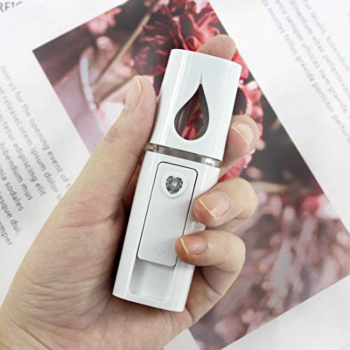 Portable Nano Facial Mister Mini Facial Steamer Atomization Eyelash Extensions With Mirror & 20Ml Visual Water Tank (White) #TOP7