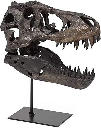 Dinosaur Skull, T-Rex Skull Statue, 110 Scale Model of Tyrannosaurus Rex Skull Resin Sculpture Lifelike Dinosaur Shape Statue Desktop Ornament Skull Size 33x20x24cm Without Bracket… (Large12*6*10in)