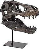 Dinosaur Skull, T-Rex Skull Statue, 110 Scale Model of Tyrannosaurus Rex Skull Resin Sculpture Lifel