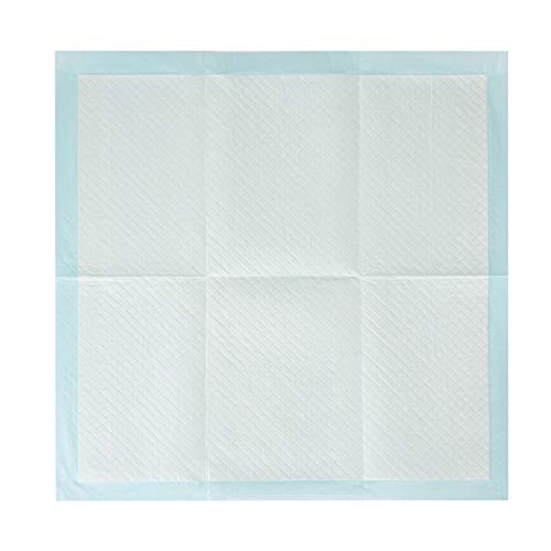 image for Arm & Hammer for Dogs Puppy Training Pads with Attractant | New & Impr