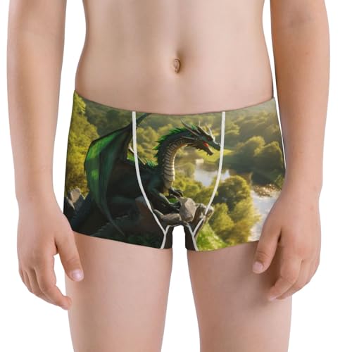 Boys' Cotton Boxer Brief Soft Underwear-Deep Forest Stone Green Dragon