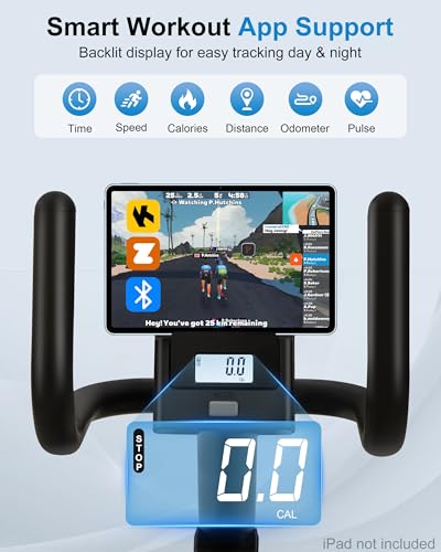 Recumbent Bike with High Back Support