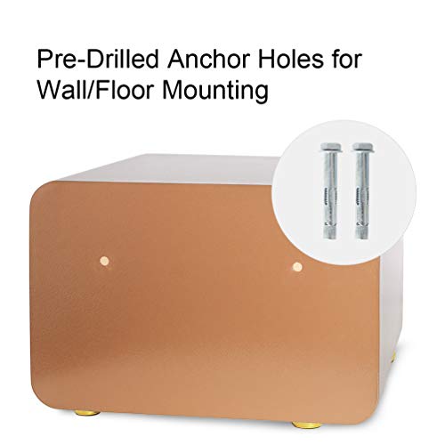 Lovndi Security Safe Box 1.0 Cubic Feet, Digital Safe Electronic Home Safe with Keypad, 15.7 x 11.8 x 10.6 inches, Gold