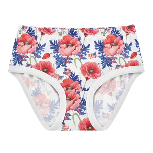 Joisal Cartoon Toddler Girls Underwear 2t Cotton Cute Panties Girl Red Floral Blue Leaves White Briefs Undies Kids