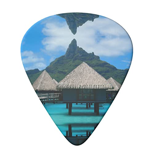 Tahiti Beach Lot de 6 médiators pour guitare acoustique, guitare électrique, basse, ukulélé – fins, moyens et épais - Les Beatles, Paul McCartney, John Lennon, RIngo Starr, George Harrison Tahiti Beach Lot de 6 médiators pour guitare acoustique, guitare électrique, basse, ukulélé - fins, moyens et épais – Image 4