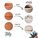 POTEY Terracotta Shallow Planters for Succulent - 6.1 Inch Cactus Plant Containers Indoor Garden Bonsai Pots with Drainage Hole - Set of 2, Unglazed