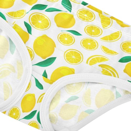 Fruit Lemon Leaves Toddler Girls's Underwear 2T 23019054