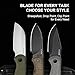 Kizer Drop Bear Fixed Blade Knife, 2.6