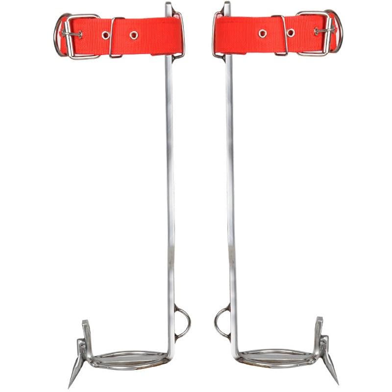 Piques d'escalade stables en acier inoxydable anti-corrosion