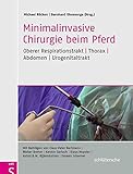 Minimalinvasive Chirurgie beim Pferd: Oberer Respirationstrakt - Thorax - Abdomen - Urogenitaltrakt